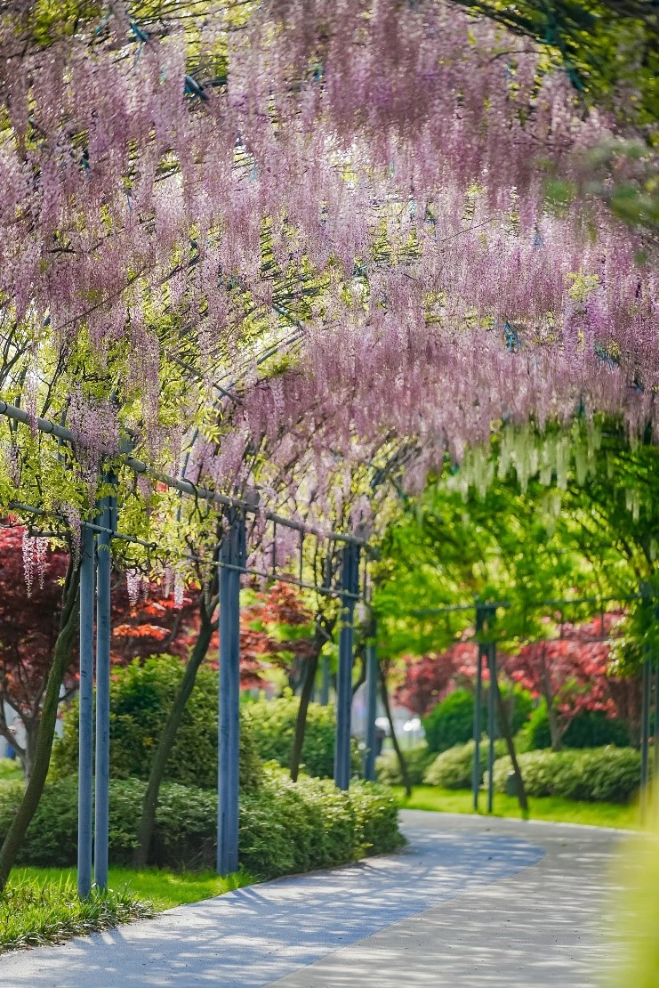 好光有生命，共建光合朋友圈